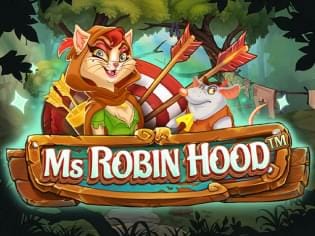 Ms Robin Hood game thumbnail